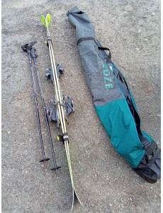 PAIRE DE SKI DYNASTAR + BÂTON 